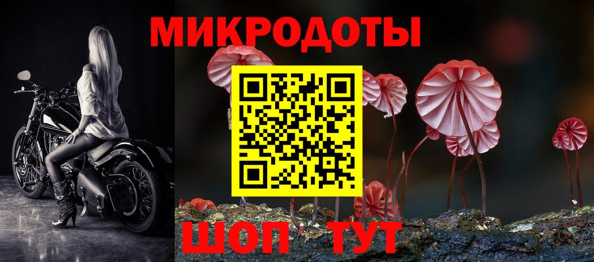 Псилоцибиновые грибы Cubensis Ростов Великий