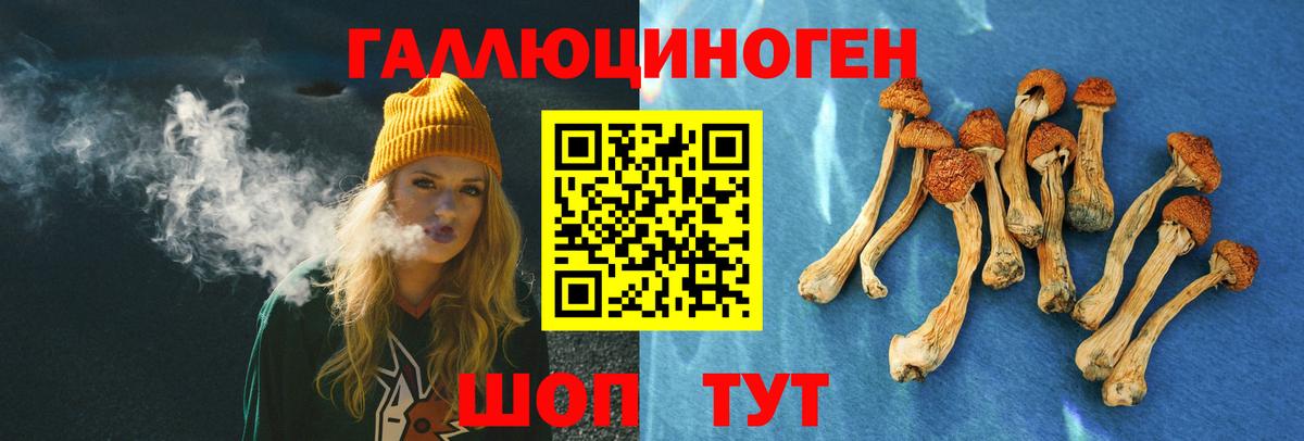 Ростов Великий  Галлюциногенные грибы Magic Shrooms  Вход с VPN 